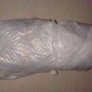 ヒメ日記 2025/10/24 02:16 投稿 小川ナース[看護主任] 病院