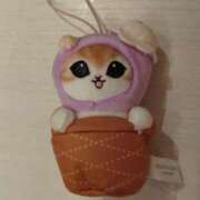 ヒメ日記 2025/11/09 02:24 投稿 小川ナース[看護主任] 病院