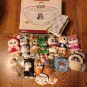 ヒメ日記 2025/12/25 04:06 投稿 小川ナース[看護主任] 病院