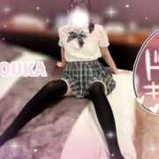 ヒメ日記 2024/12/18 18:47 投稿 桜花（おうか） NOA（ノア）