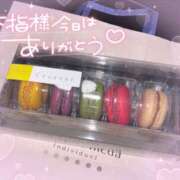 ヒメ日記 2024/12/21 19:02 投稿 桜花（おうか） NOA（ノア）