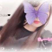 ヒメ日記 2024/12/23 14:52 投稿 桜花（おうか） NOA（ノア）