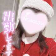 ヒメ日記 2024/12/24 11:09 投稿 桜花（おうか） NOA（ノア）