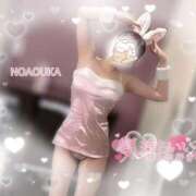 ヒメ日記 2024/12/28 13:08 投稿 桜花（おうか） NOA（ノア）