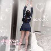 ヒメ日記 2025/01/10 16:23 投稿 桜花（おうか） NOA（ノア）