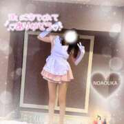 ヒメ日記 2025/01/14 16:02 投稿 桜花（おうか） NOA（ノア）