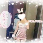 ヒメ日記 2025/04/11 11:14 投稿 桜花（おうか） NOA（ノア）