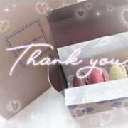 ヒメ日記 2025/04/12 19:07 投稿 桜花（おうか） NOA（ノア）