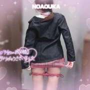 ヒメ日記 2025/04/26 15:11 投稿 桜花（おうか） NOA（ノア）