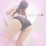 ヒメ日記 2025/05/08 12:42 投稿 桜花（おうか） NOA（ノア）