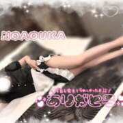 ヒメ日記 2025/06/02 16:20 投稿 桜花（おうか） NOA（ノア）