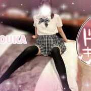 ヒメ日記 2025/06/07 12:55 投稿 桜花（おうか） NOA（ノア）