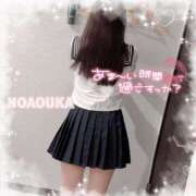 ヒメ日記 2025/06/13 11:12 投稿 桜花（おうか） NOA（ノア）