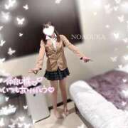 ヒメ日記 2025/06/16 14:26 投稿 桜花（おうか） NOA（ノア）