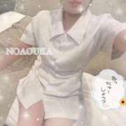 ヒメ日記 2025/06/16 16:53 投稿 桜花（おうか） NOA（ノア）