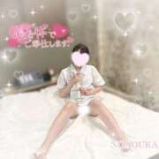 ヒメ日記 2025/06/19 12:28 投稿 桜花（おうか） NOA（ノア）