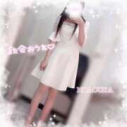 ヒメ日記 2025/06/19 19:07 投稿 桜花（おうか） NOA（ノア）