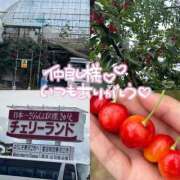 ヒメ日記 2025/06/23 17:48 投稿 桜花（おうか） NOA（ノア）