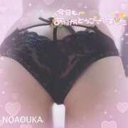 ヒメ日記 2025/07/05 12:45 投稿 桜花（おうか） NOA（ノア）