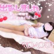 ヒメ日記 2025/07/16 11:17 投稿 桜花（おうか） NOA（ノア）