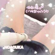 ヒメ日記 2025/08/22 15:39 投稿 桜花（おうか） NOA（ノア）