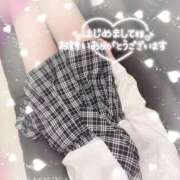 ヒメ日記 2025/09/08 14:06 投稿 桜花（おうか） NOA（ノア）