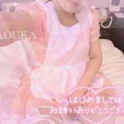 ヒメ日記 2025/09/15 13:16 投稿 桜花（おうか） NOA（ノア）