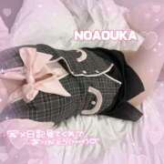 ヒメ日記 2025/09/26 12:13 投稿 桜花（おうか） NOA（ノア）