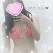 ヒメ日記 2025/10/17 12:07 投稿 桜花（おうか） NOA（ノア）