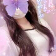 ヒメ日記 2025/10/31 12:12 投稿 桜花（おうか） NOA（ノア）