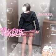 ヒメ日記 2025/11/04 15:13 投稿 桜花（おうか） NOA（ノア）