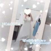 ヒメ日記 2025/11/19 11:44 投稿 桜花（おうか） NOA（ノア）