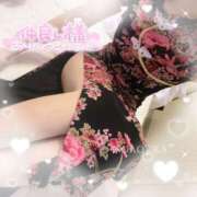 ヒメ日記 2025/11/24 16:45 投稿 桜花（おうか） NOA（ノア）