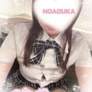 ヒメ日記 2025/11/25 16:30 投稿 桜花（おうか） NOA（ノア）