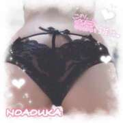 ヒメ日記 2025/11/27 14:07 投稿 桜花（おうか） NOA（ノア）