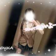 ヒメ日記 2025/12/11 11:53 投稿 桜花（おうか） NOA（ノア）