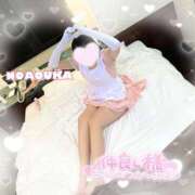 ヒメ日記 2026/01/31 17:34 投稿 桜花（おうか） NOA（ノア）