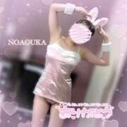 ヒメ日記 2026/02/19 16:56 投稿 桜花（おうか） NOA（ノア）