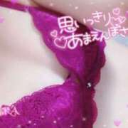 ヒメ日記 2026/02/21 12:48 投稿 桜花（おうか） NOA（ノア）