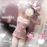 ヒメ日記 2026/03/07 12:49 投稿 桜花（おうか） NOA（ノア）