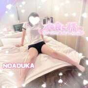 ヒメ日記 2026/03/13 13:21 投稿 桜花（おうか） NOA（ノア）