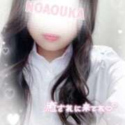 ヒメ日記 2026/03/28 12:06 投稿 桜花（おうか） NOA（ノア）