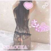 ヒメ日記 2026/03/30 12:15 投稿 桜花（おうか） NOA（ノア）