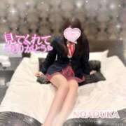 ヒメ日記 2026/03/30 14:36 投稿 桜花（おうか） NOA（ノア）