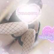 ヒメ日記 2026/04/01 12:14 投稿 桜花（おうか） NOA（ノア）