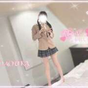 ヒメ日記 2026/04/03 14:43 投稿 桜花（おうか） NOA（ノア）