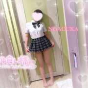 ヒメ日記 2026/04/13 14:10 投稿 桜花（おうか） NOA（ノア）