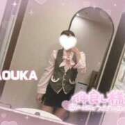 ヒメ日記 2026/04/21 18:41 投稿 桜花（おうか） NOA（ノア）