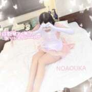 ヒメ日記 2026/04/25 11:07 投稿 桜花（おうか） NOA（ノア）