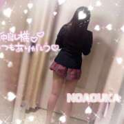 ヒメ日記 2026/05/07 14:29 投稿 桜花（おうか） NOA（ノア）